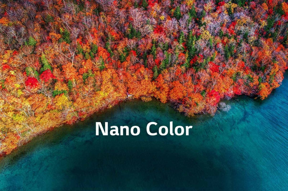 تقنية NanoCell-شاشة ال جي سمارت 65 بوصة