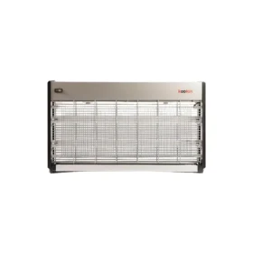 صائدة حشرات