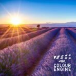 ⁦شاشة 43 بوصة سمارت باناسونيك 4K UHD - أندرويد⁩ - الصورة ⁦6⁩