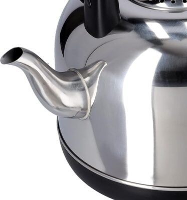 غلاية كهربائية