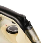 كاوية بخارية